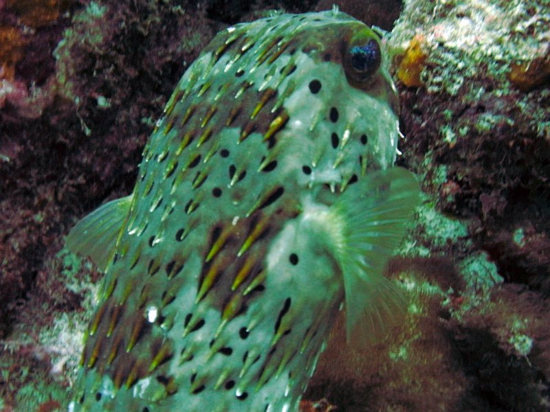 Curacao 04-12 140.jpg
